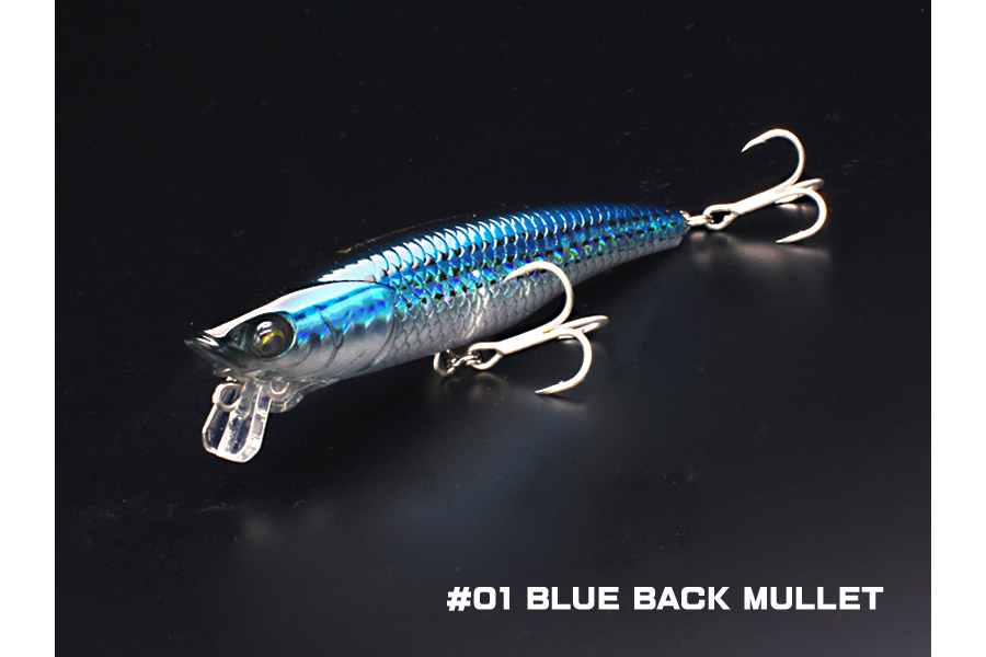 01 blue back mullet