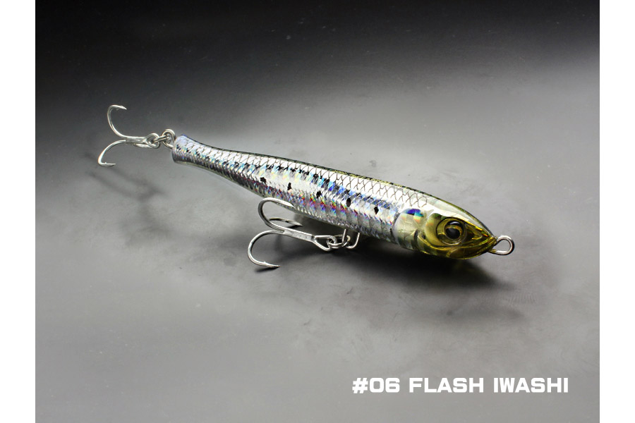 06 flash iwashi