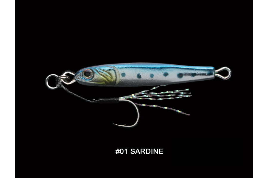 01 sardine