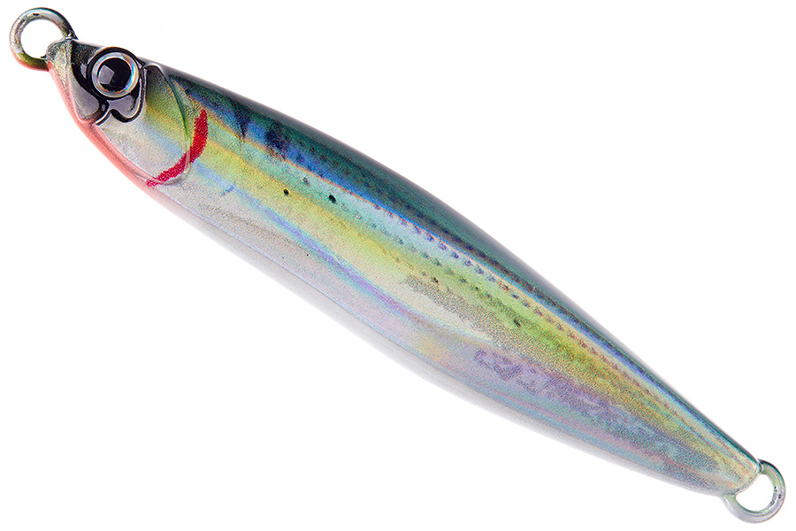 05 Sardine-Lumo Belly