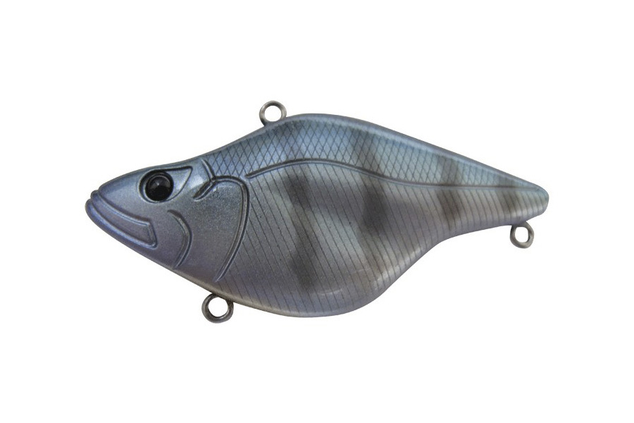 CG01 KOHOKU Clear Gill