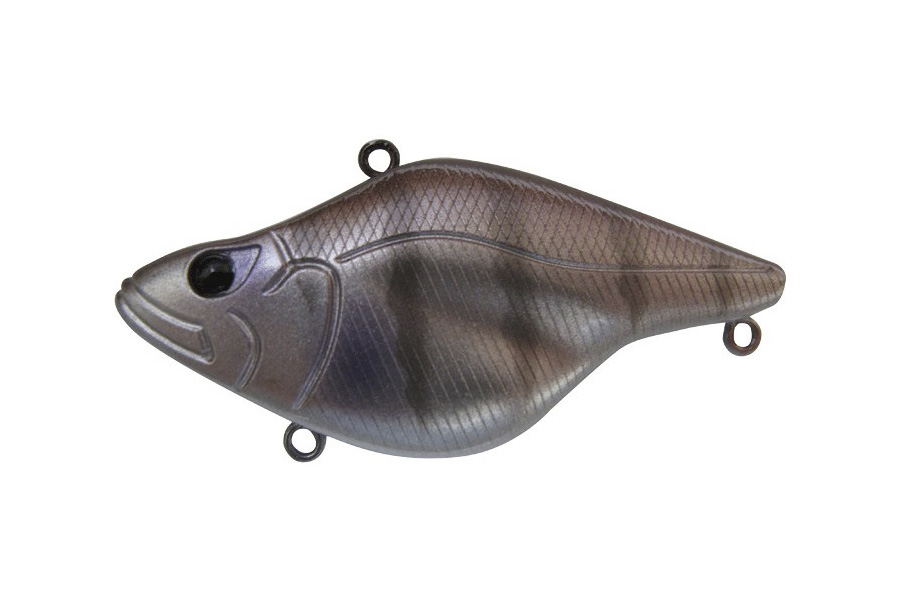 CG02 KOTOU Brown Gill