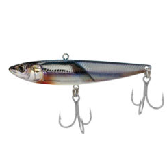 06 KIBINAGO GLOW BELLY