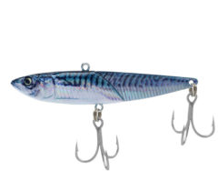 07 MACKEREL