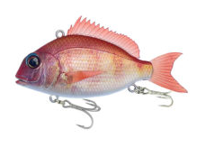 02 SEA BREAM