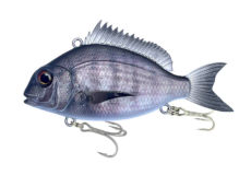 03 BLACK SEA BREAM