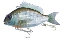 10 BLUEGILL