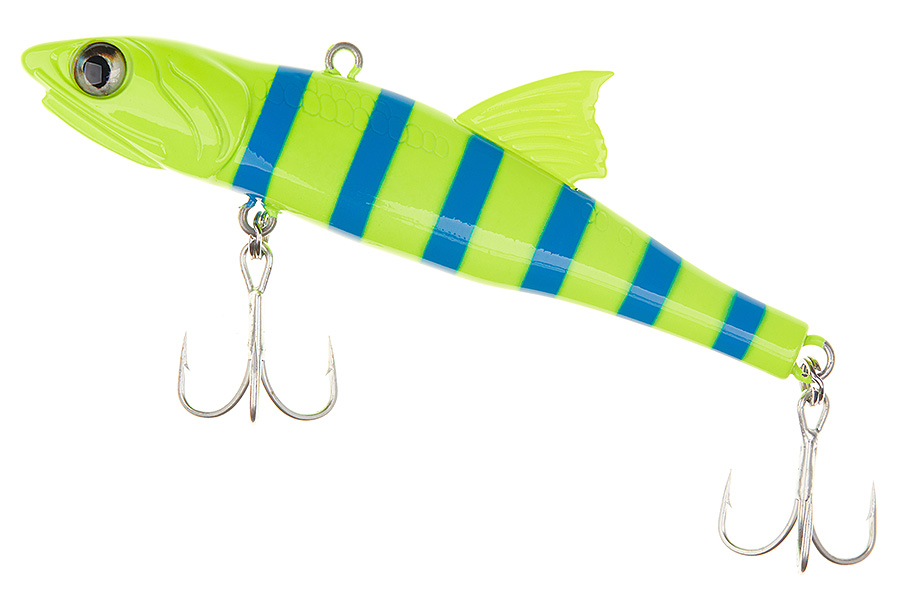 Zebra yellow blue