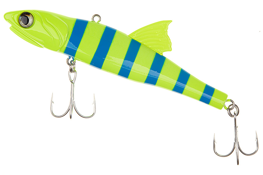 Zebra yellow blue