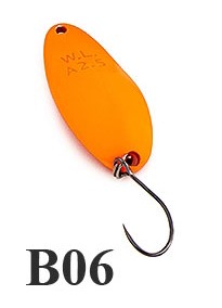 B06
