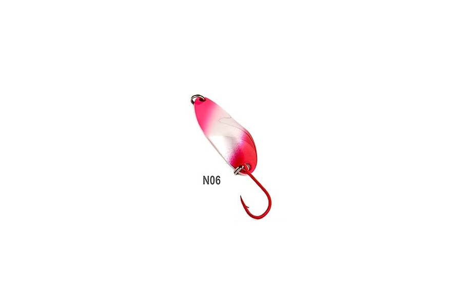 N06