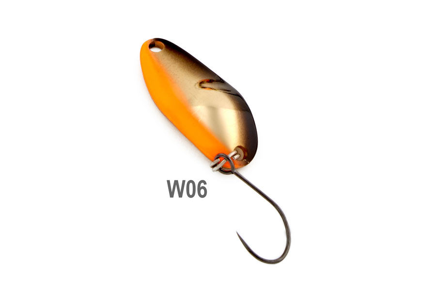 W06