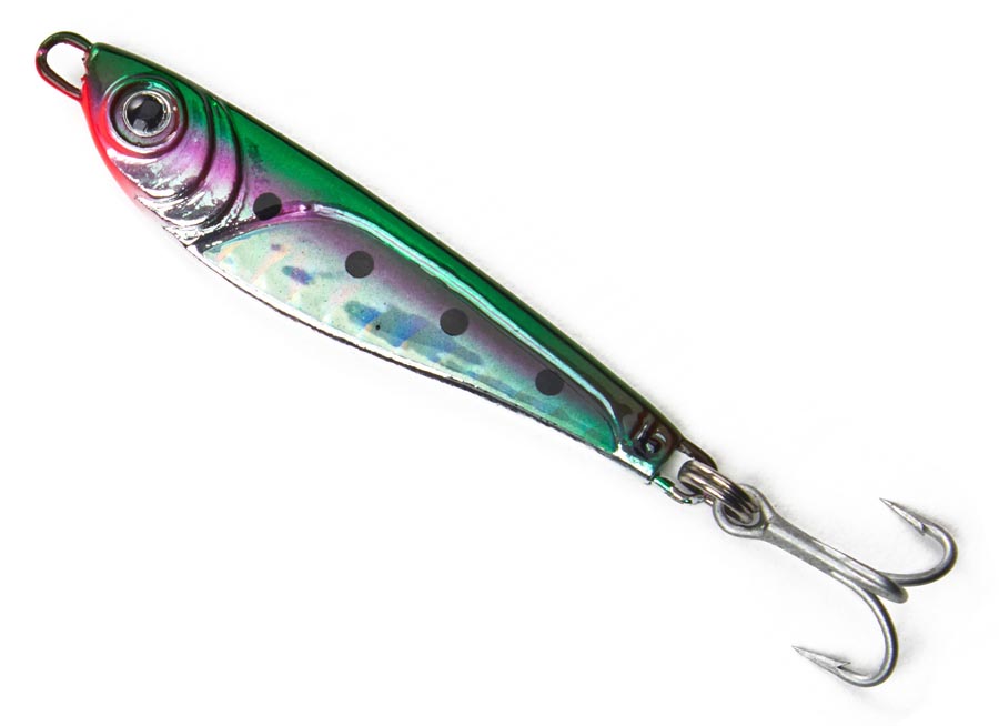 06 rainbow trout