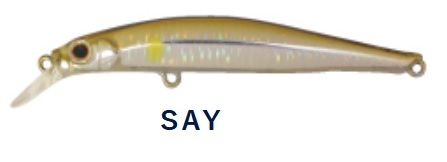 SAY