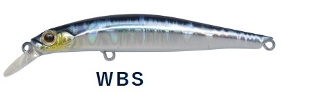 WBS