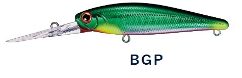 BGP