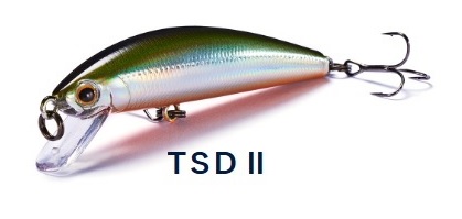 TSD2