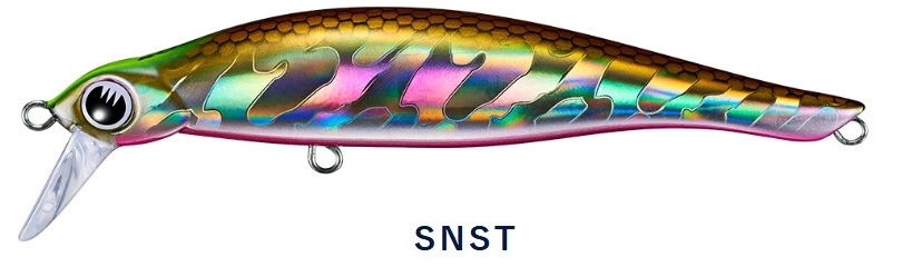 SNST